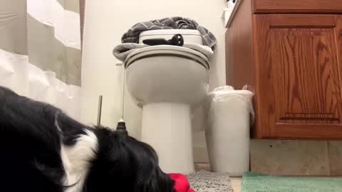 Snapshot of t265h chatting on November 2025 04:11:01 AM tRex online show from November 2025 04:11:01 AM