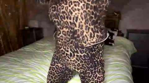 Tachita online show from November 2025 11:36:02 AM