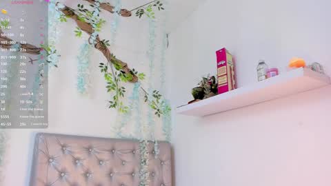 tacota online show from January 2025 07:43:01 PM