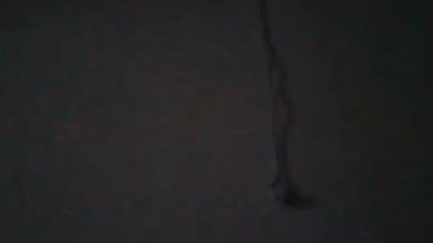 tahtouhafakroune12 online show from April 2026 05:43:01 PM