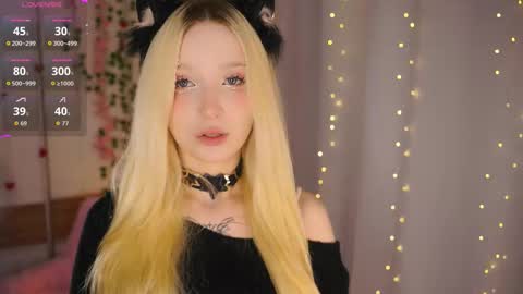 taitechubb online show from February 2026 04:14:02 PM