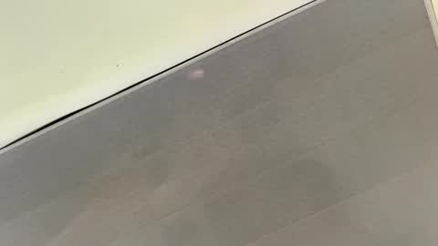 Snapshot of talianavega chatting on November 2025 03:36:01 PM tali online show from November 2025 03:36:01 PM