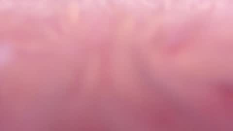 Snapshot of tamy_ian chatting on January 2025 10:42:01 PM Tamy ian online show from January 2025 10:42:01 PM