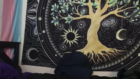 Tarrow online show from December 2024 02:17:01 AM