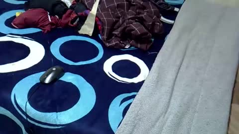 Snapshot of tastie_t chatting on November 2025 06:04:02 AM tastie_t online show from November 2025 06:04:02 AM