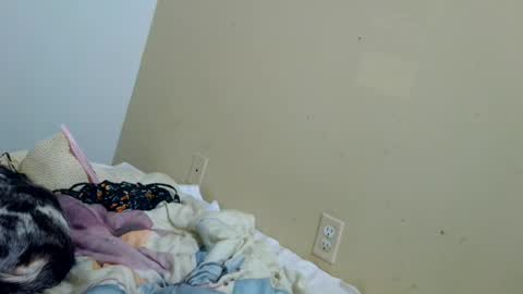 tastycakes96 online show from June 2026 04:29:01 AM
