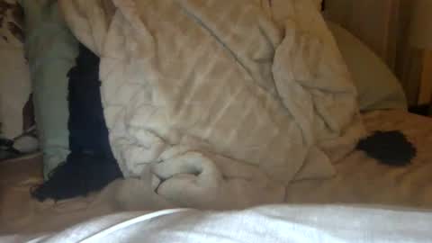 Snapshot of tatiannatease chatting on January 2025 10:18:01 PM Tatianna Marie online show from January 2025 10:18:01 PM