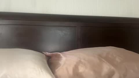 Snapshot of tatiannatease chatting on December 2025 09:08:01 PM Tatianna Marie online show from December 2025 09:08:01 PM