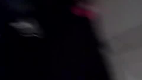 Snapshot of tattednhard6969 chatting on January 2025 12:42:02 PM tattednhard6969 online show from January 2025 12:42:02 PM