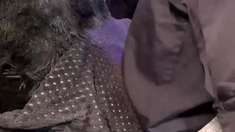 Jean pool online show from December 2025 11:47:01 AM