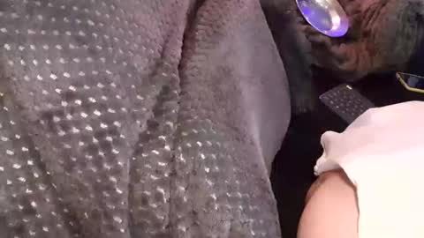 Jean pool online show from December 2025 03:45:02 AM