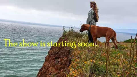 TATUM  ALL MY LINKS  online show from May 2026 09:44:02 PM
