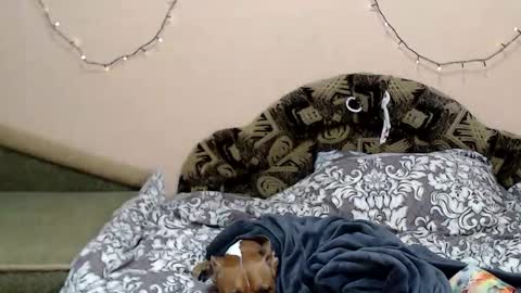 Taya online show from January 2026 08:34:02 PM