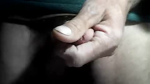 taylor3made online show from September 2025 08:14:02 AM