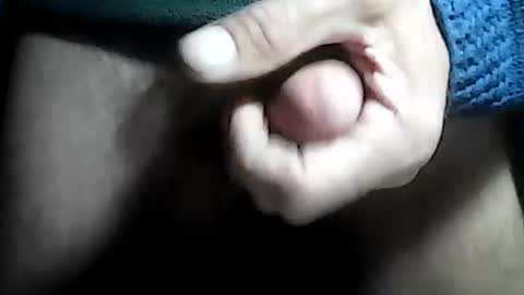 taylor3made online show from September 2025 07:55:02 AM