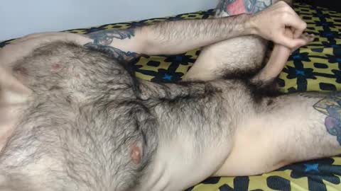 Taylor online show from January 2026 02:20:01 PM