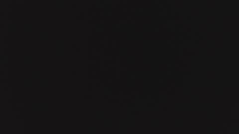 PABLO online show from March 2026 11:27:01 AM