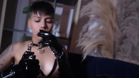 Taylor online show from October 2025 07:00:01 PM