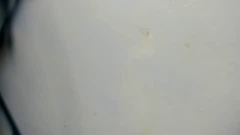taz_box online show from June 2026 11:51:02 PM