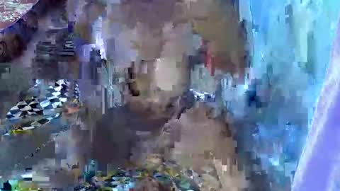 teabody1 online show from March 2026 06:45:02 PM