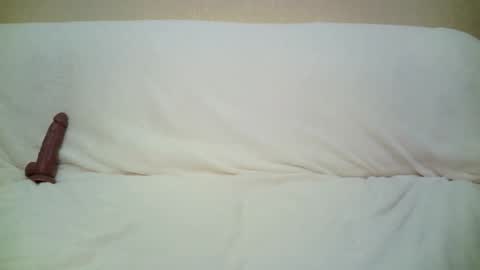 Snapshot of teach4kitty chatting on September 2025 07:30:01 PM teach4kitty online show from September 2025 07:30:01 PM