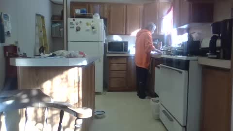 Teak online show from February 2025 08:58:02 PM