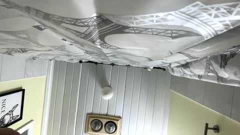 Twizzler online show from February 2025 12:33:01 PM