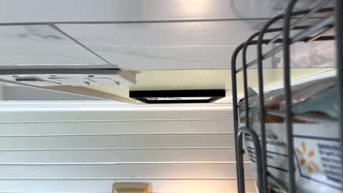 Twizzler online show from October 2025 01:39:03 AM