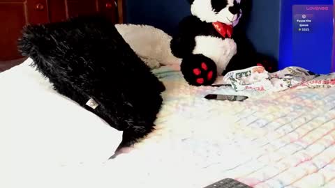 Teo online show from March 2026 08:26:01 PM