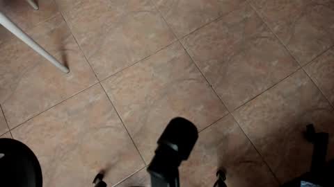 Tessamonroee online show from March 2026 07:04:02 PM