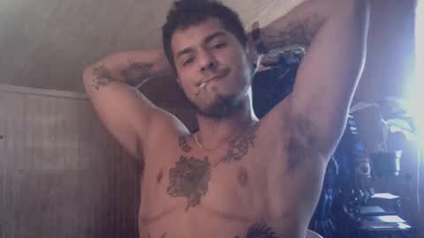 Milo online show from December 2024 03:53:02 PM