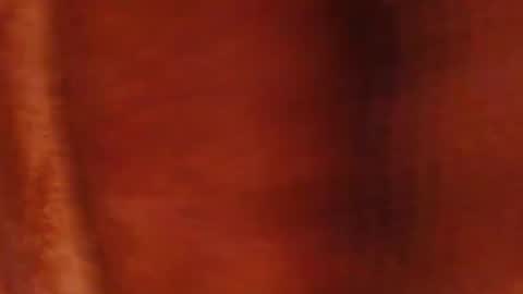 tetuo2 online show from March 2026 11:03:01 AM