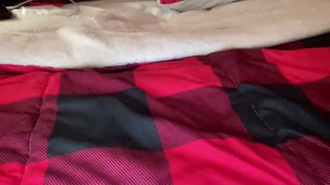 Derick online show from December 2024 06:59:02 AM