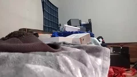 Snapshot of texasmade13 chatting on January 2025 07:30:01 AM TexasDick online show from January 2025 07:30:01 AM