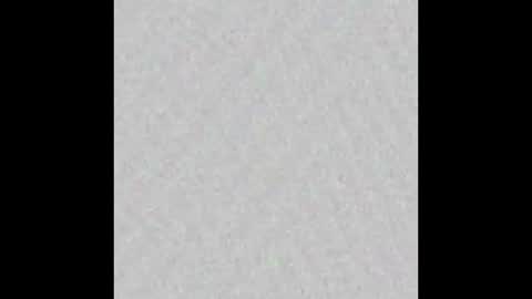 TexPig online show from September 2025 12:09:02 PM