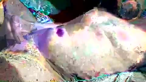 Snapshot of th3darksideofthemoon chatting on February 2025 02:15:02 AM th3darksideofthemoon online show from February 2025 02:15:02 AM