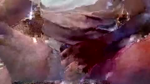 That Guy J online show from February 2025 01:51:02 PM