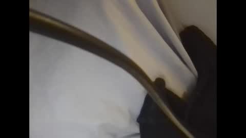 Snapshot of the_borderlands chatting on February 2026 01:21:02 PM the crazy travellers online show from February 2026 01:21:02 PM