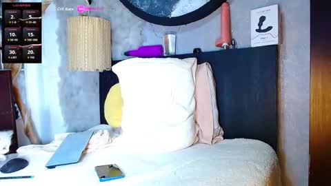 Snapshot of the_dog_lian chatting on November 2025 02:21:01 AM the dog lian online show from November 2025 02:21:01 AM