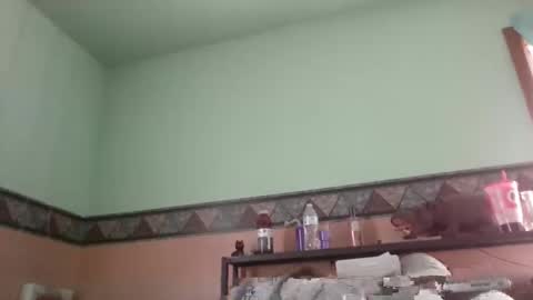 Snapshot of the_sam_ chatting on January 2025 04:30:01 PM the_sam_ online show from January 2025 04:30:01 PM