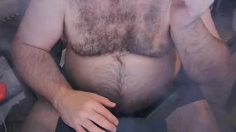 The Bear King online show from November 2025 03:19:01 AM