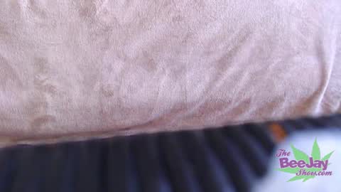 TheBeeJayShow online show from December 2024 05:05:02 AM