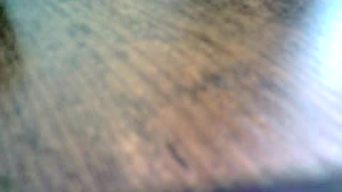 BigT online show from July 2026 12:31:02 PM