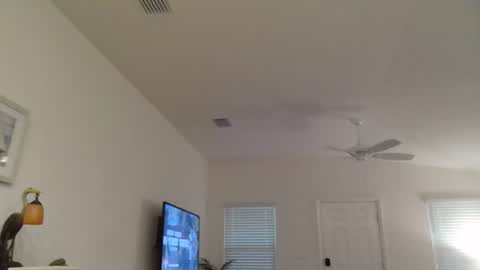 Dominick online show from July 2026 11:07:02 PM
