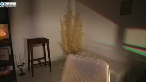 Snapshot of thegingerp chatting on January 2025 10:48:01 PM Streaming mostly at online show from January 2025 10:48:01 PM