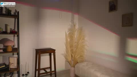 Snapshot of thegingerp chatting on February 2025 09:52:01 PM Streaming mostly at online show from February 2025 09:52:01 PM