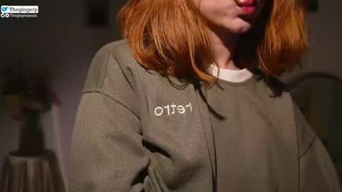 Snapshot of thegingerp chatting on February 2025 01:15:02 AM Streaming mostly at online show from February 2025 01:15:02 AM