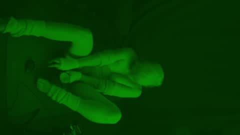 Snapshot of thehungmantis chatting on February 2025 04:31:02 AM thehungmantis online show from February 2025 04:31:02 AM