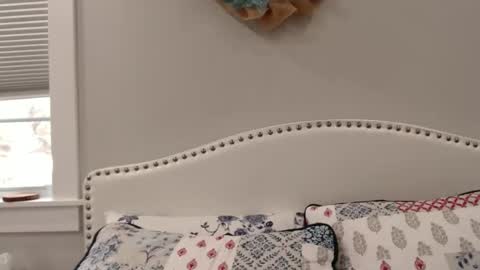 Snapshot of thelipsdown chatting on December 2024 06:19:01 PM Lacey online show from December 2024 06:19:01 PM