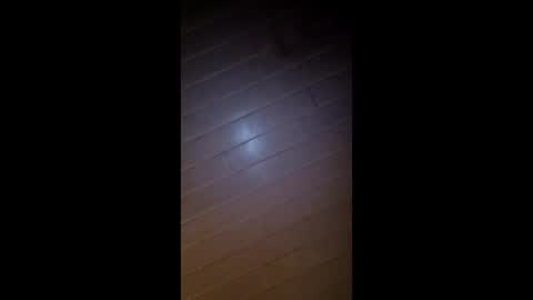 theonlyboi43ver online show from February 2026 08:35:01 AM